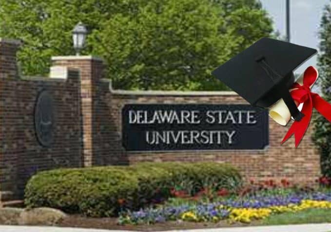 DSU-EntranceGate-Gradcap