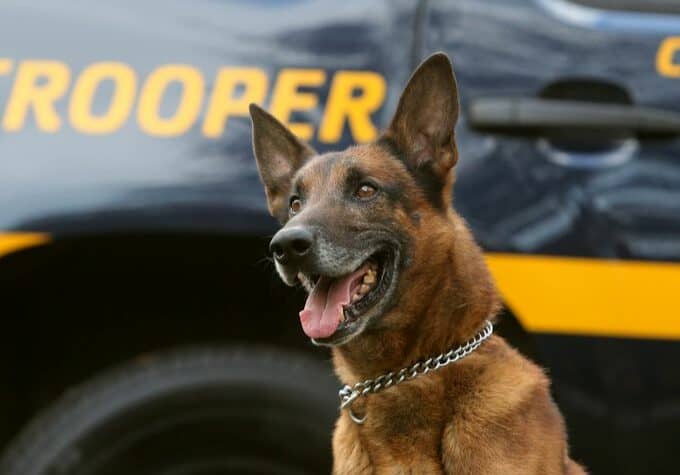 Delaware K9