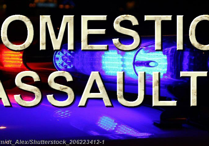 Domestic Assault-Police-Car-Lights-at-Night-Clear-shutterstock_206223412-1