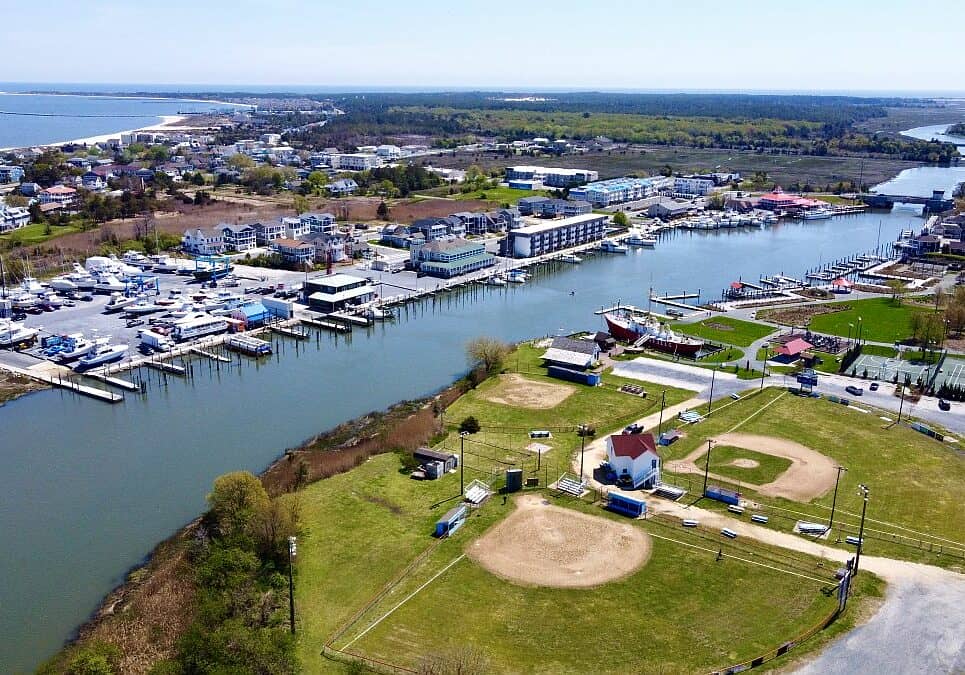 Eric Reifsnyder - Lewes Canal