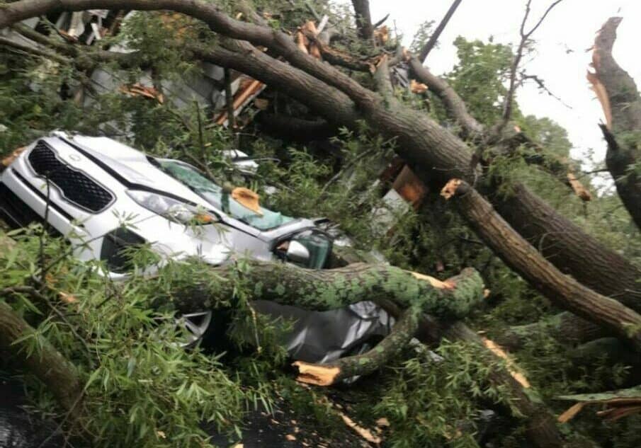 Photo courtesy of Harrington Fire Department