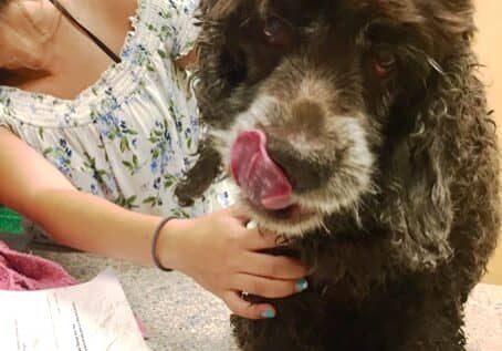 Image courtesy Joyce Lauer