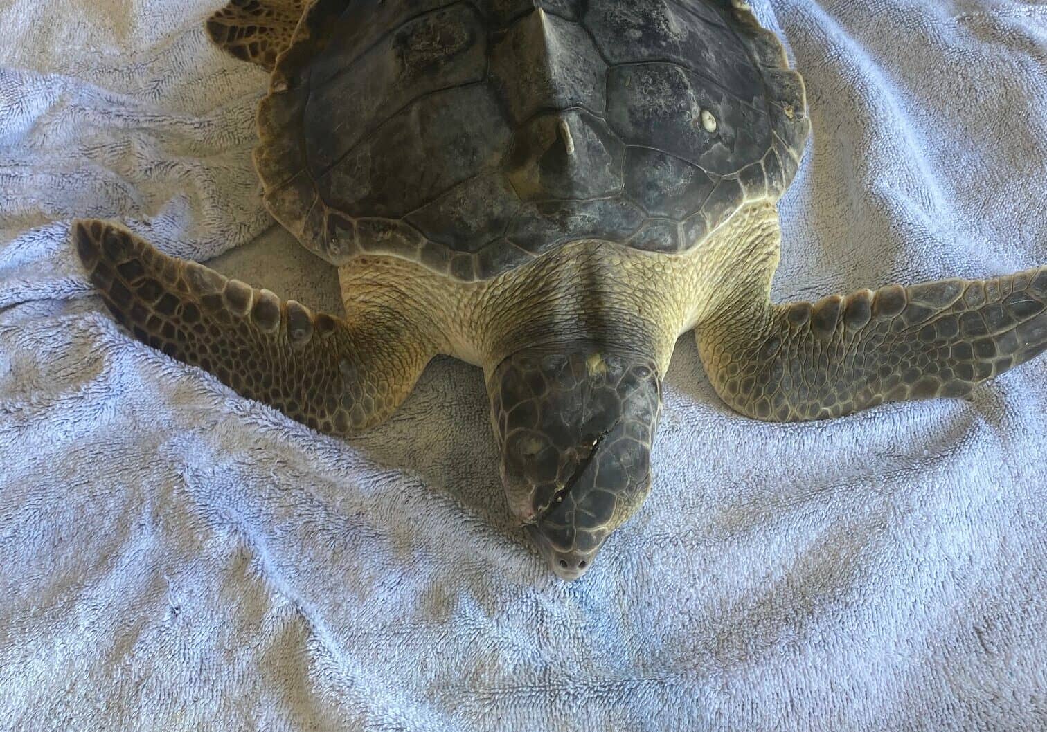 Photo courtesy MERR Institute