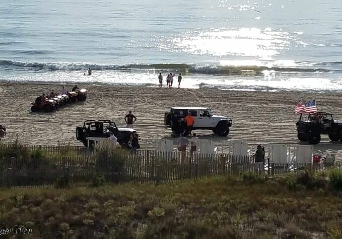 Image courtesy Abigail Dion