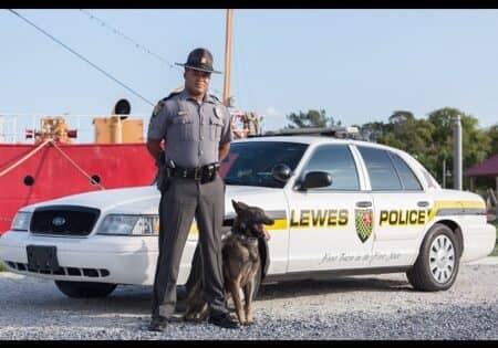 Lewes K9 Blue