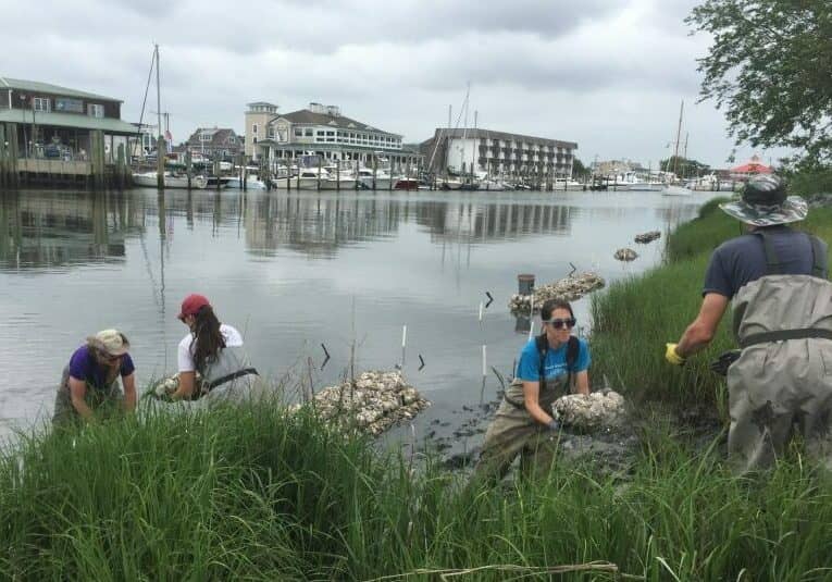 Lewes Canal DNREC photo