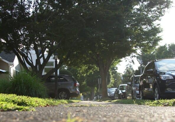 Image courtesy WGMD/Alan Henney