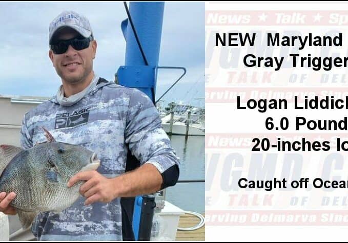 MD-DNR-Record-Gray-Triggerfish-2020