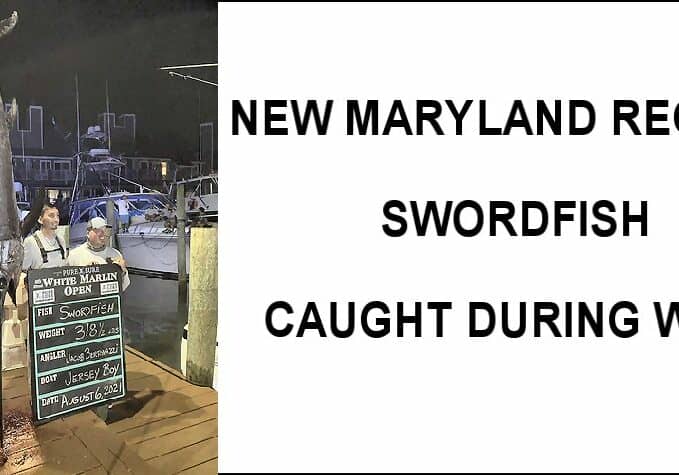 MD DNR-RecordSwordfish 2