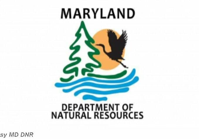 md-dnr-logo