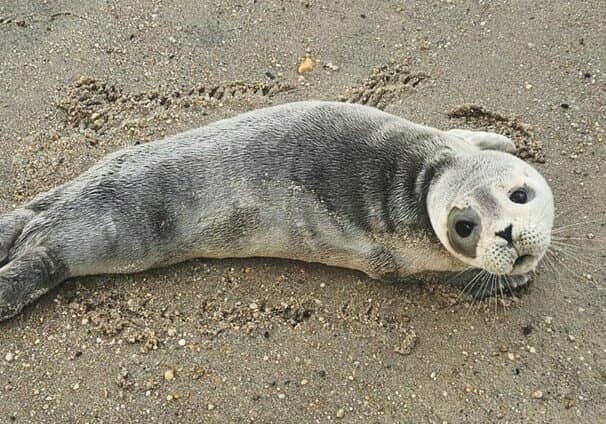 Photo courtesy Suzanne Thurman, MERR Institute