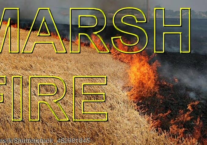 Marsh Fire - Brush fire Image © A_Lesik/Shutterstock_452981845 