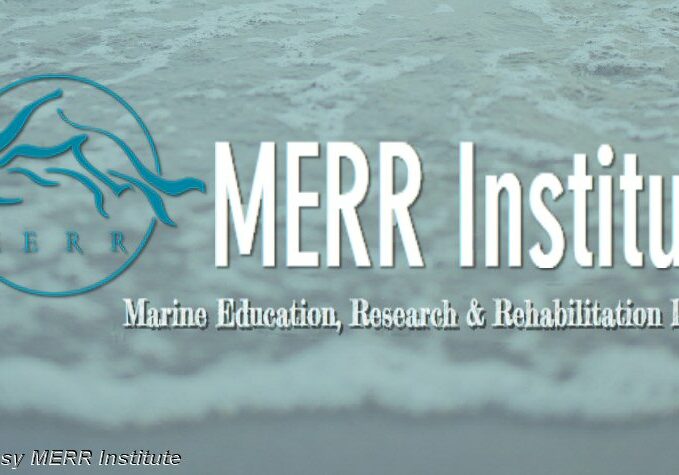 MerrInst-Logo