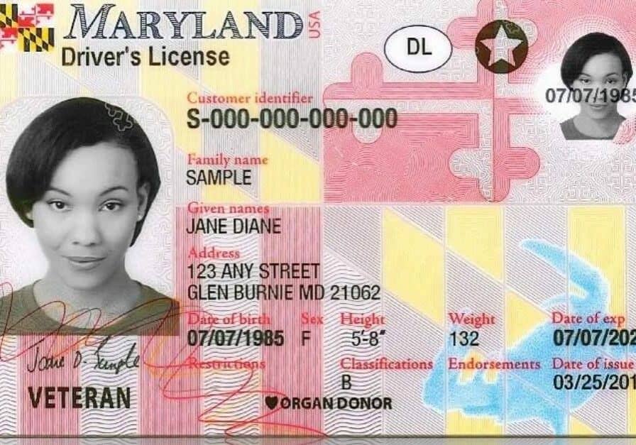 New MD license