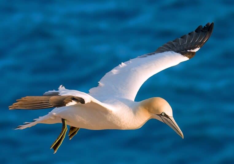 DO NOT USE EXCEPT THIS STORY