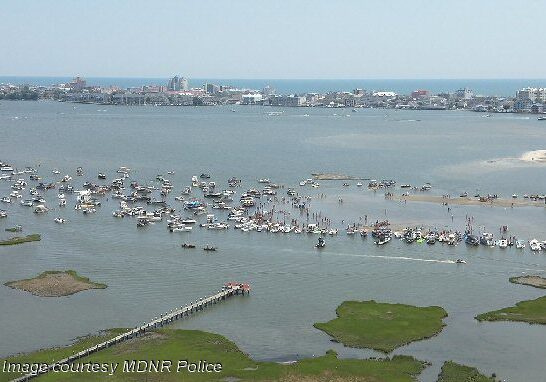 2025 OC - Horn Island-AssBay