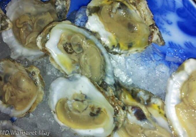 oysters-halfshell