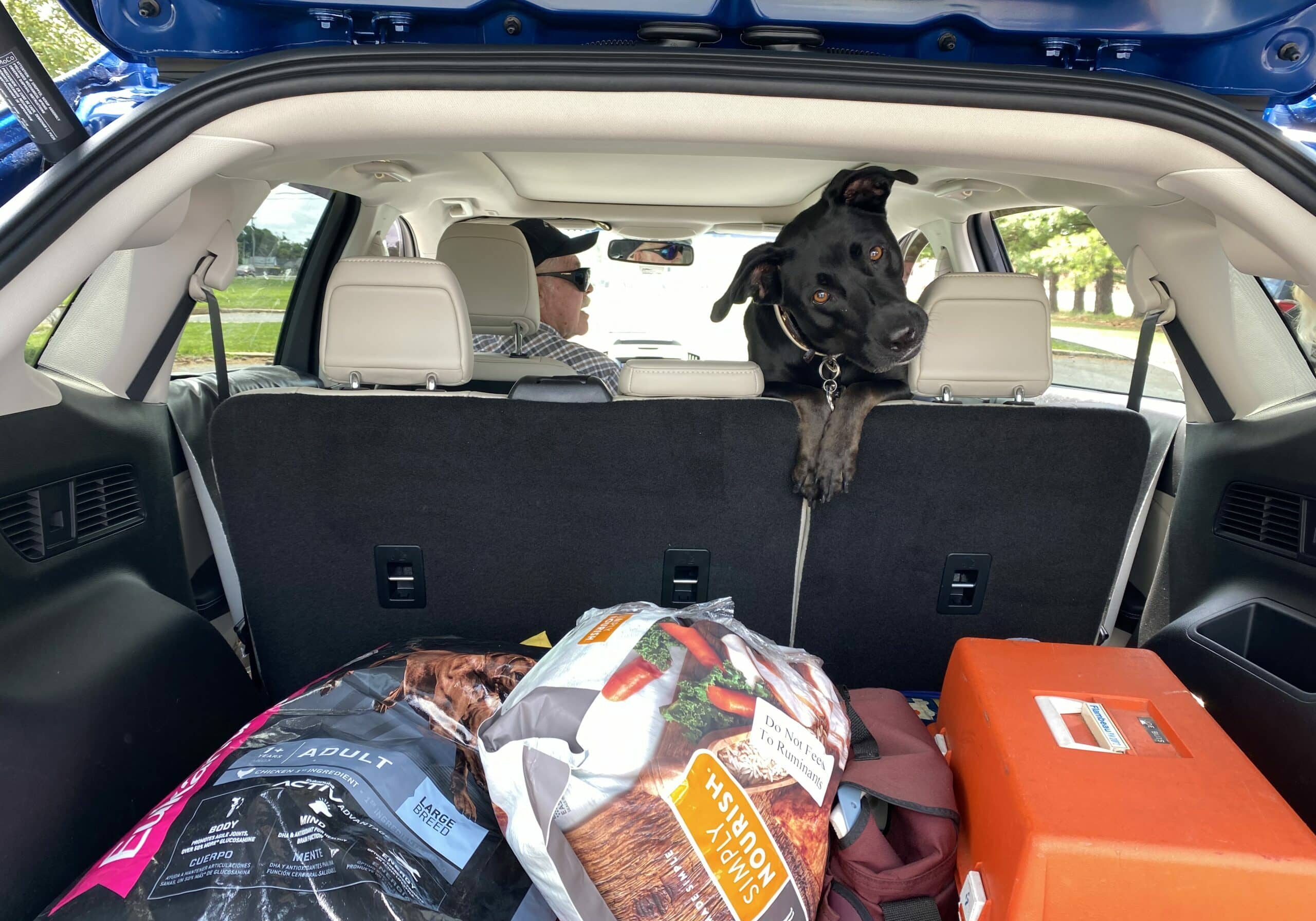 PET FOOD PANTRY SUSSEX