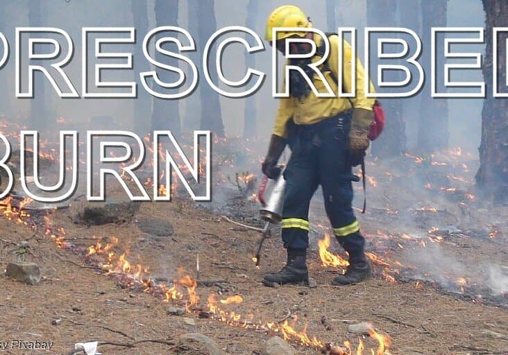 Prescribed Burn-pixabay