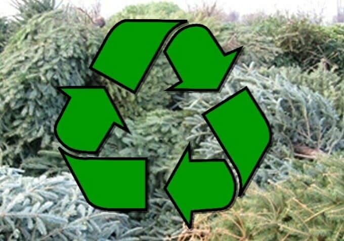 Image courtesy DNREC