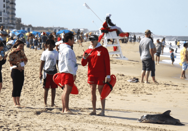 Image courtesy WGMD/Alan Henney