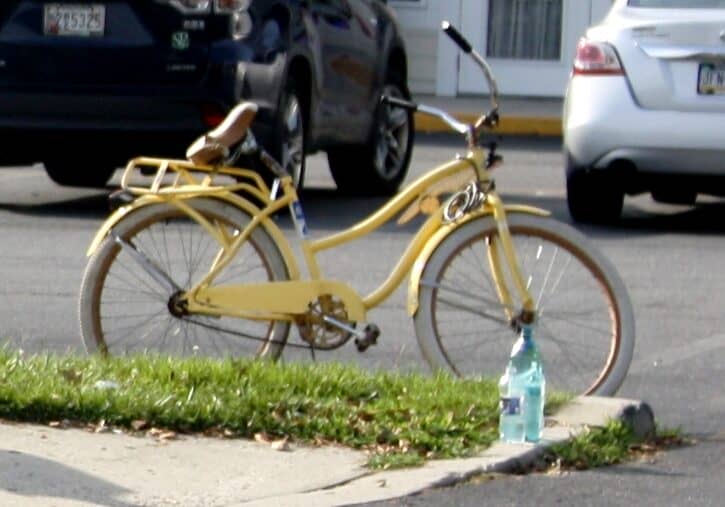 Image courtesy WGMD/Alan Henney