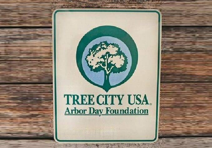 RehobothBeach-Tree City USA sign