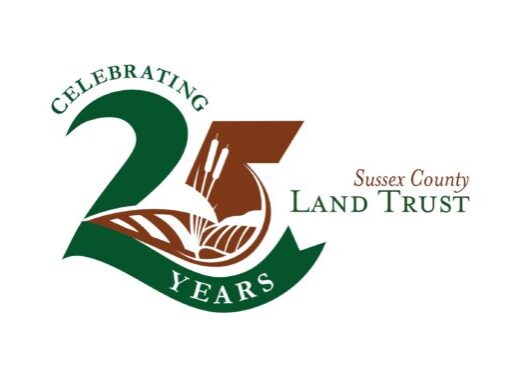 SCLT Anniversary Logo final RGB