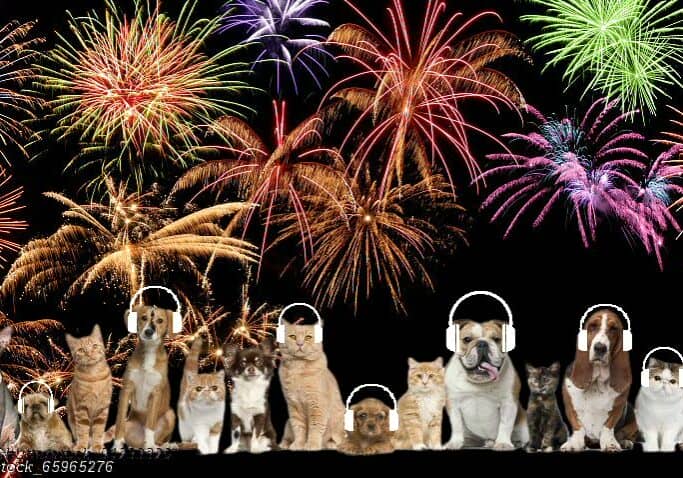ScaredPets-Fireworks-shutterstock_65865276