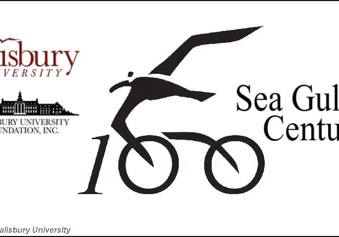 Sea Gull Century-Generic