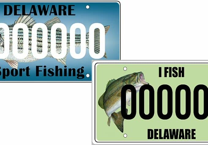 Image courtesy DNREC/DE DMV