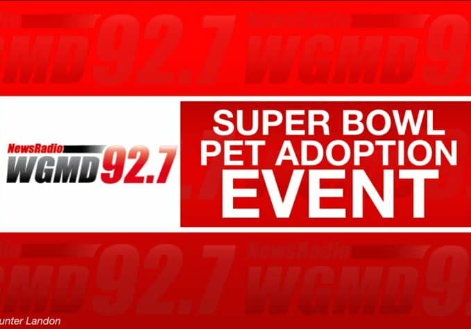 Super Bowl Pet Adoption