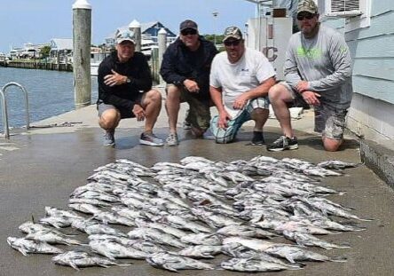 TOD ARCHIVE / 05-23-18 Mess Of Black Sea Bass -  Capt. Dave Collins had a charter on opening day of black sea bass and took his boat the Capt. Ike II out to the Dry Docks.  While using clams and squid he wound up with a boat limit that weighed in at 142lbs.  Pictured are Matt Merrick, JC Dennis, Ryan Harris and Buddy Patton, not pictured are Greg Sizemore  and Bruce Vincent all from Georgetown, DE.