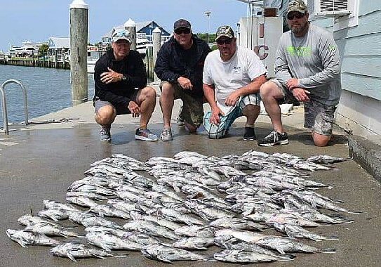 TOD ARCHIVE / 05-23-18 Mess Of Black Sea Bass -  Capt. Dave Collins had a charter on opening day of black sea bass and took his boat the Capt. Ike II out to the Dry Docks.  While using clams and squid he wound up with a boat limit that weighed in at 142lbs.  Pictured are Matt Merrick, JC Dennis, Ryan Harris and Buddy Patton, not pictured are Greg Sizemore  and Bruce Vincent all from Georgetown, DE.