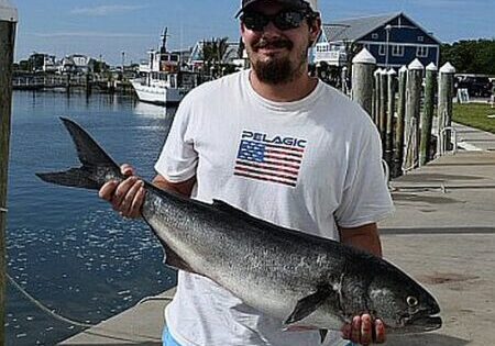 TOD Archive Bluefish Catch