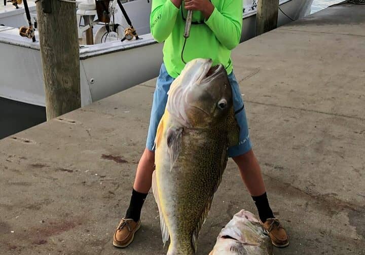 Photo by: Hook'em & Cook'em — with Peggy Grajcar.