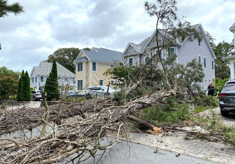 This is Terrace Road near Silver Lake.  A high-tension feeder line was severed when these trees fell.  Image courtesy Sandy Neverett.