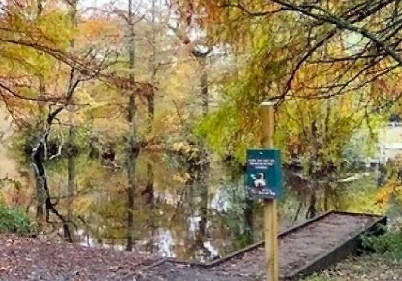 Trussum Pond near Laurel / Image courtesy DNREC