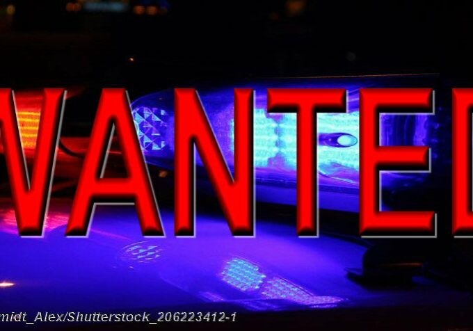 Wanted - Police-Car-Lights-at-Night-Clear-shutterstock_206223412-1