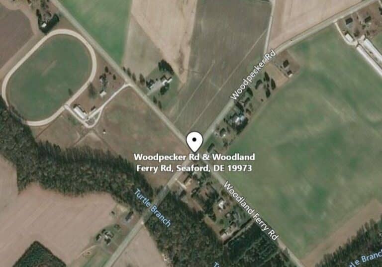 Woodpecker-and-Woodland-Ferry-Rd-768x553