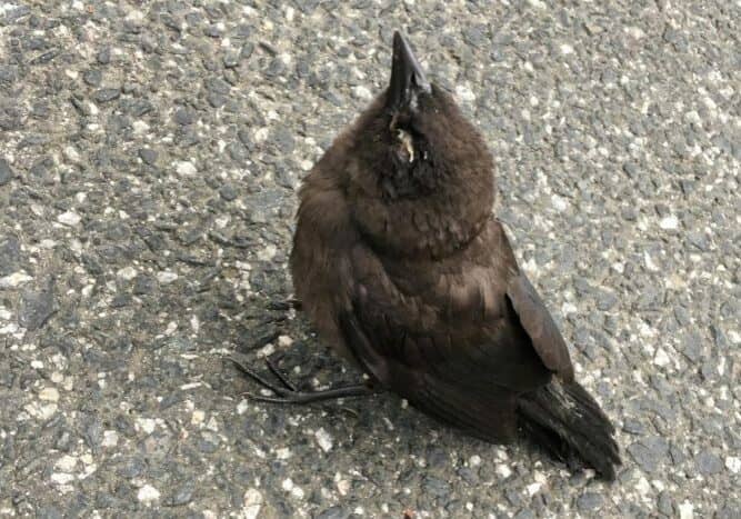 Photo Credit: National Parks Service photographer Leslie Frattaroli