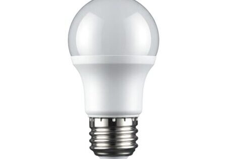 digital_expert-light-bulb-10195834_640