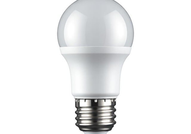 digital_expert-light-bulb-10195834_640