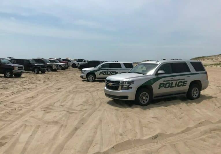 Photo courtesy of DNREC / Cape Henlopen State Park