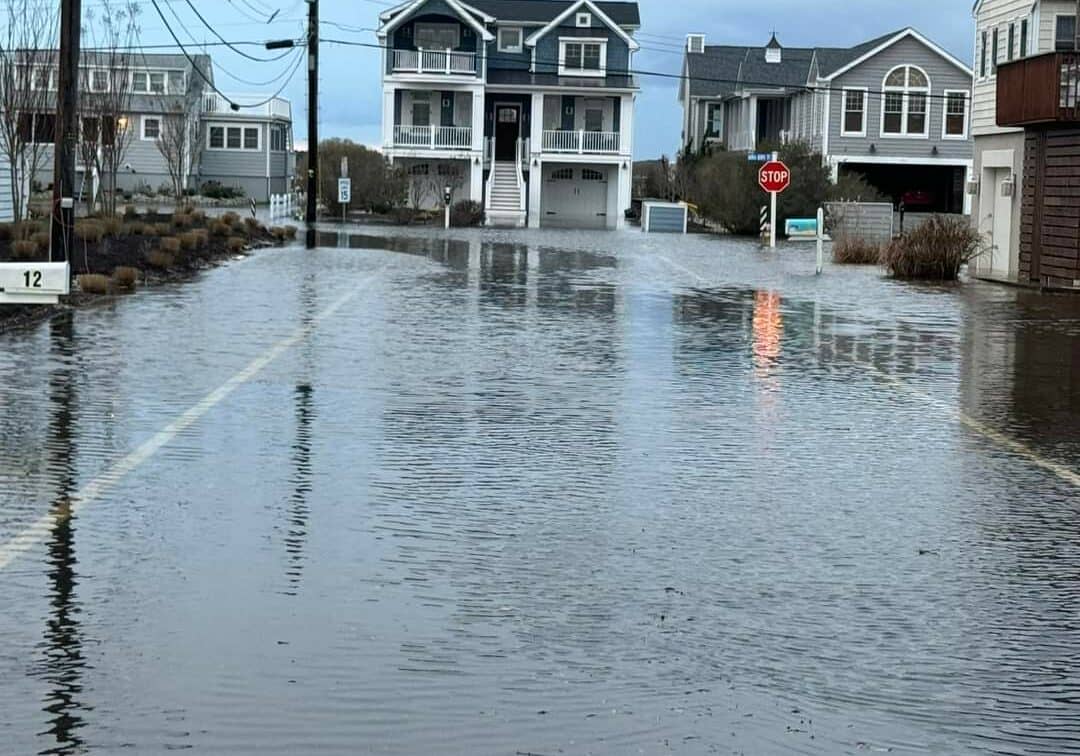 Image courtesy Natalie Magdaberger