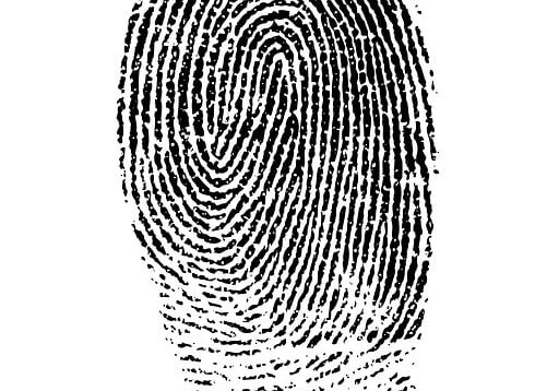fingerprint-1382652_640