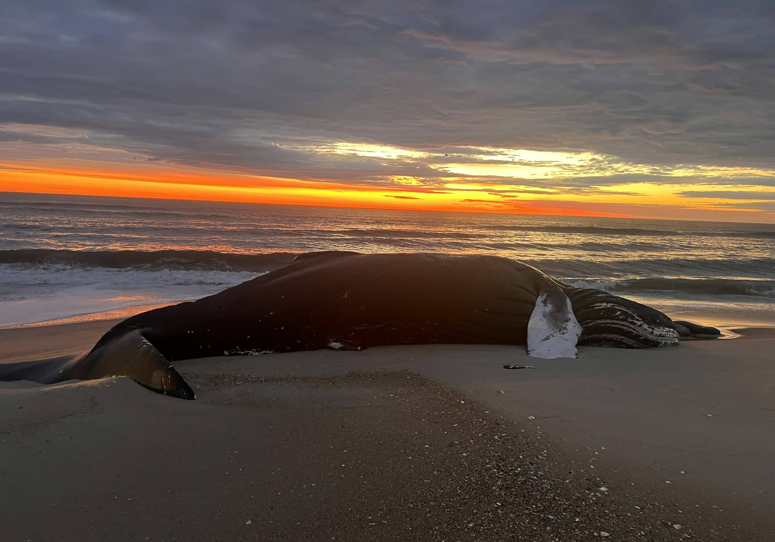 Photo from the National Park Service