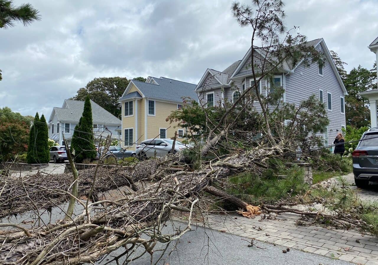 Rehoboth Damage- photo courtesy of Sandy Neverett