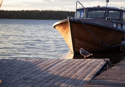 kerttu-dock-7353306_640