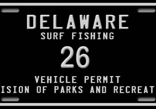 Low-digit surf plate (image courtesy of Delaware Dept. of Natural Resources)